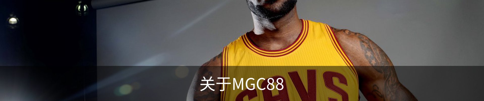 关于MGC88
