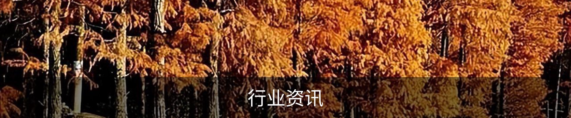 行业资讯